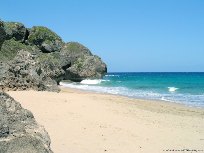 Aguadilla